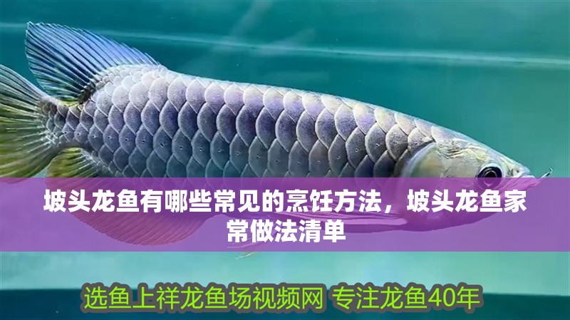坡頭龍魚有哪些常見的烹飪方法，坡頭龍魚家常做法清單