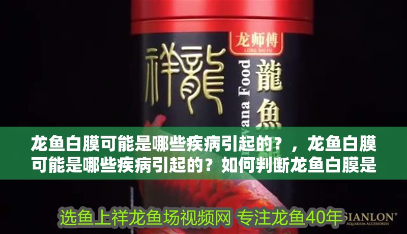 龍魚白膜可能是哪些疾病引起的？，龍魚白膜可能是哪些疾病引起的？如何判斷龍魚白膜是哪種疾病引起的？
