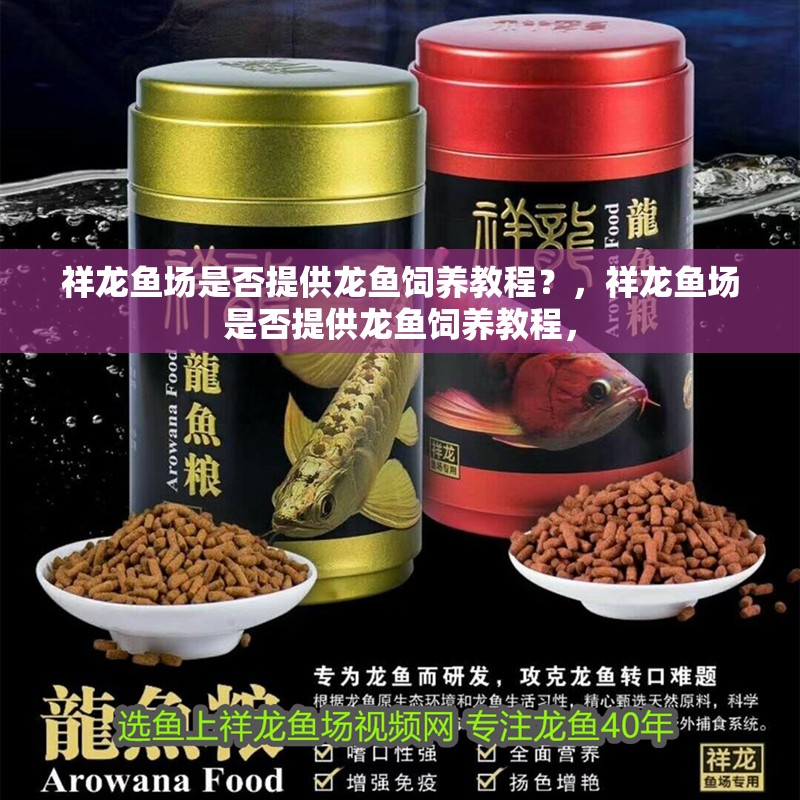 祥龍魚場是否提供龍魚飼養教程？，祥龍魚場是否提供龍魚飼養教程，
