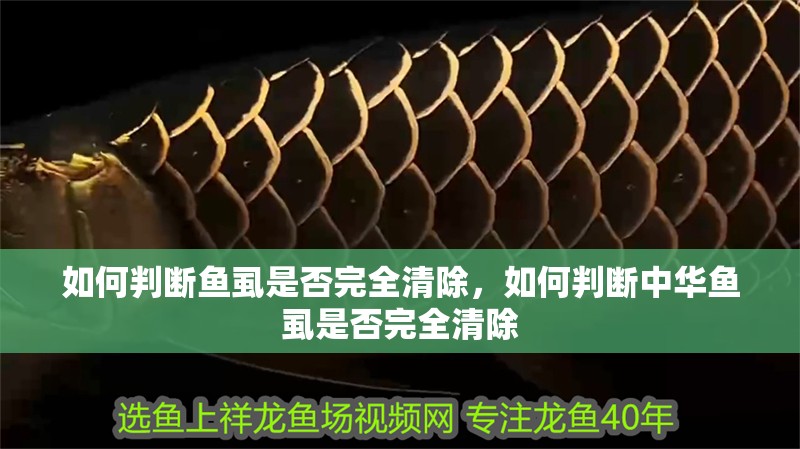 如何判斷魚虱是否完全清除，如何判斷中華魚虱是否完全清除