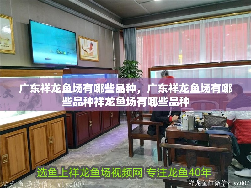 廣東祥龍魚場有哪些品種，廣東祥龍魚場有哪些品種祥龍魚場有哪些品種