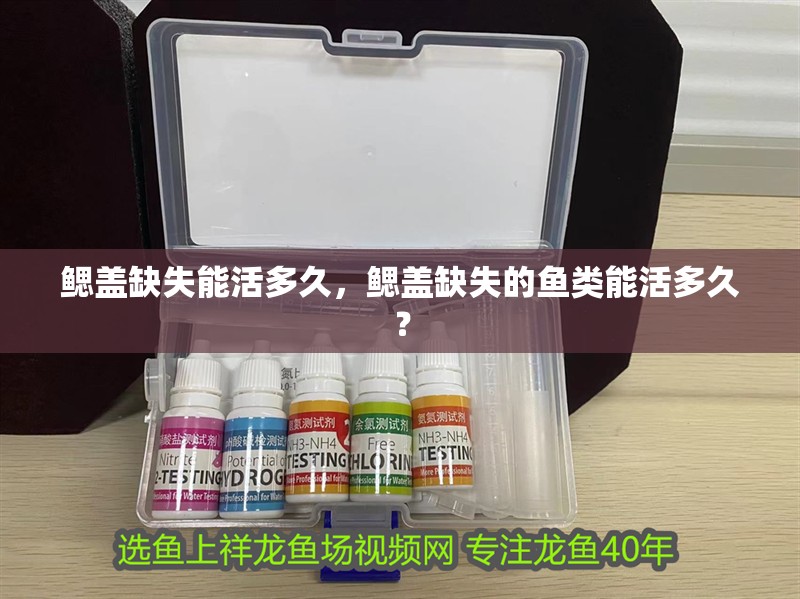 鰓蓋缺失能活多久，鰓蓋缺失的魚類能活多久？