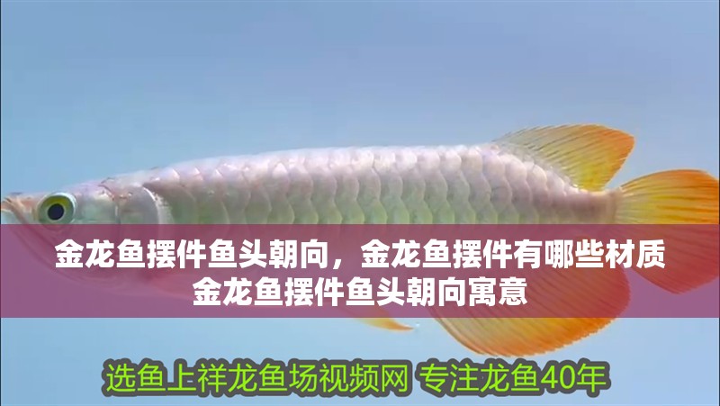 金龍魚擺件魚頭朝向，金龍魚擺件有哪些材質(zhì)金龍魚擺件魚頭朝向寓意