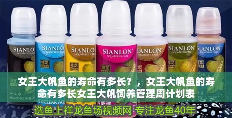 女王大帆魚的壽命有多長？，女王大帆魚的壽命有多長女王大帆飼養(yǎng)管理周計劃表