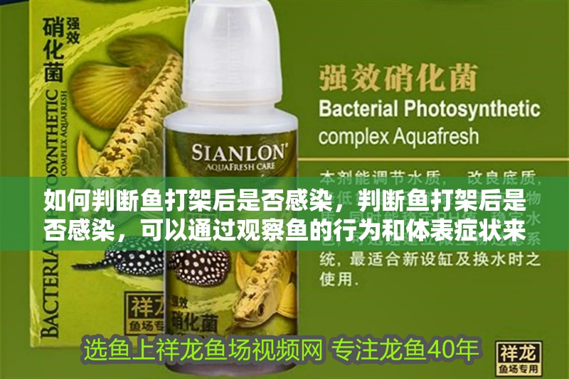 如何判斷魚打架后是否感染，判斷魚打架后是否感染，可以通過觀察魚的行為和體表癥狀來判斷