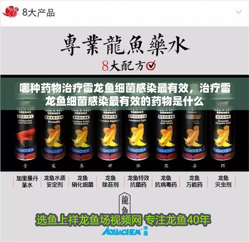 哪種藥物治療雷龍魚細菌感染最有效，治療雷龍魚細菌感染最有效的藥物是什么