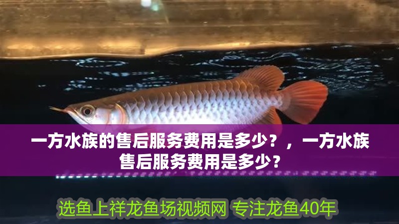 一方水族的售后服務(wù)費(fèi)用是多少？，一方水族售后服務(wù)費(fèi)用是多少？