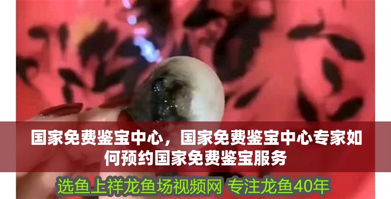 國家免費鑒寶中心，國家免費鑒寶中心專家如何預(yù)約國家免費鑒寶服務(wù)