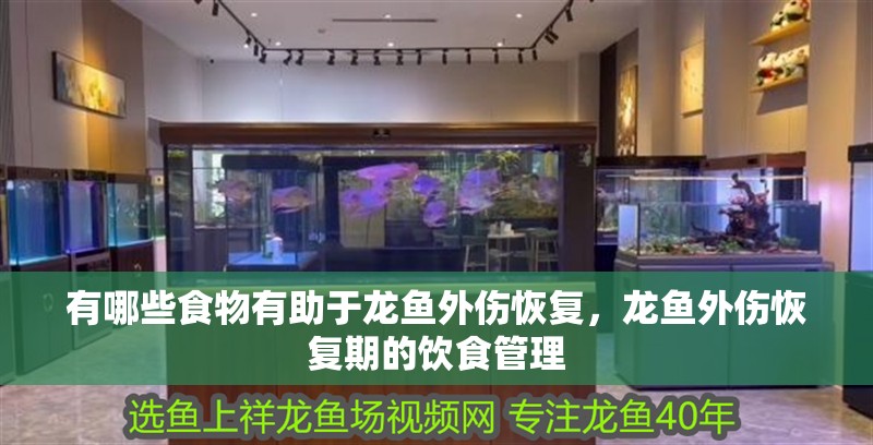 有哪些食物有助于龍魚外傷恢復，龍魚外傷恢復期的飲食管理