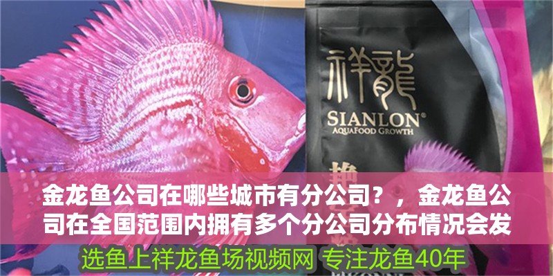 金龍魚公司在哪些城市有分公司？，金龍魚公司在全國范圍內(nèi)擁有多個分公司分布情況會發(fā)生變化