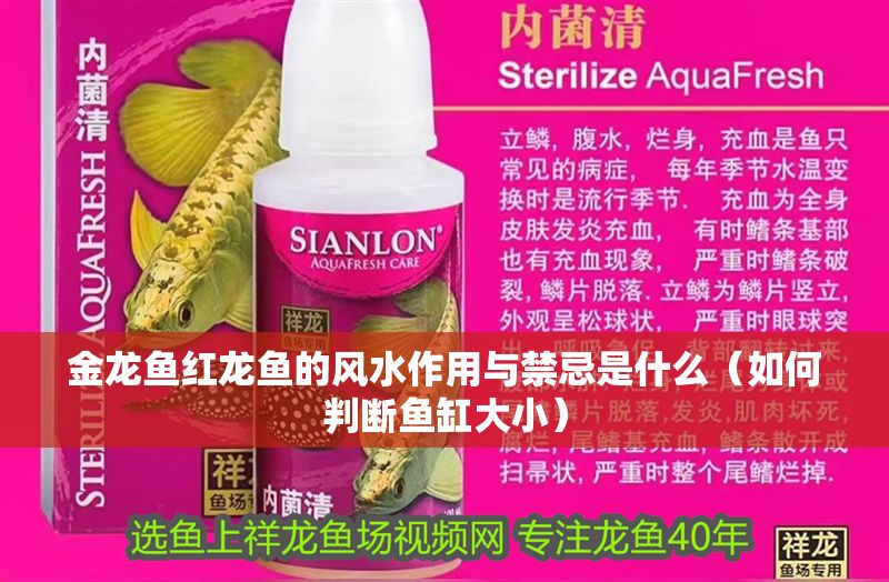 金龍魚紅龍魚的風(fēng)水作用與禁忌是什么(如何判斷魚缸大小) 龍魚百科 第6張 金龍魚紅龍魚的風(fēng)水作用與禁忌是什么(如何判斷魚缸大小) 金龍魚紅龍魚的風(fēng)水作用與禁忌是什么(如何判斷魚缸大小) 龍魚百科 第6張