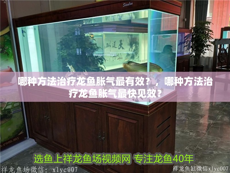 哪種方法治療龍魚脹氣最有效？，哪種方法治療龍魚脹氣最快見效？