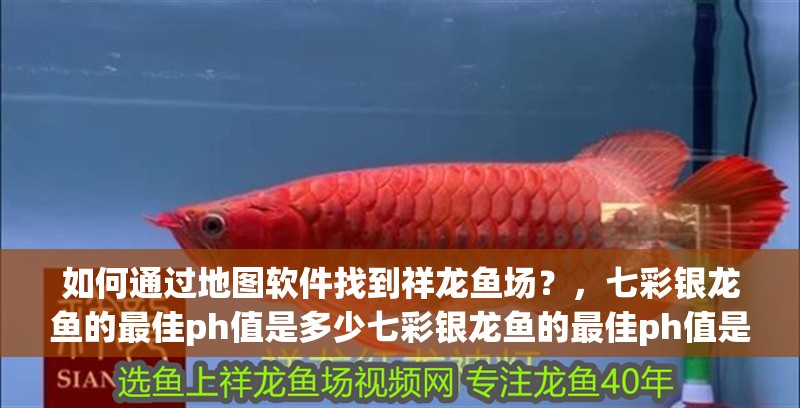 如何通過地圖軟件找到祥龍魚場？，七彩銀龍魚的最佳ph值是多少七彩銀龍魚的最佳ph值是多少
