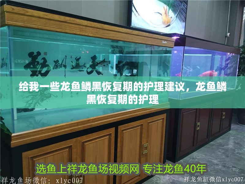 給我一些龍魚鱗黑恢復(fù)期的護(hù)理建議，龍魚鱗黑恢復(fù)期的護(hù)理