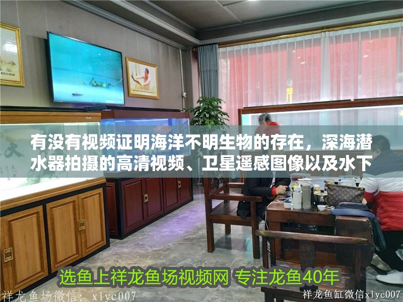 有沒有視頻證明海洋不明生物的存在，深海潛水器拍攝的高清視頻、衛星遙感圖像以及水下無人潛航器錄像