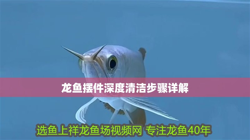 龍魚擺件深度清潔步驟詳解
