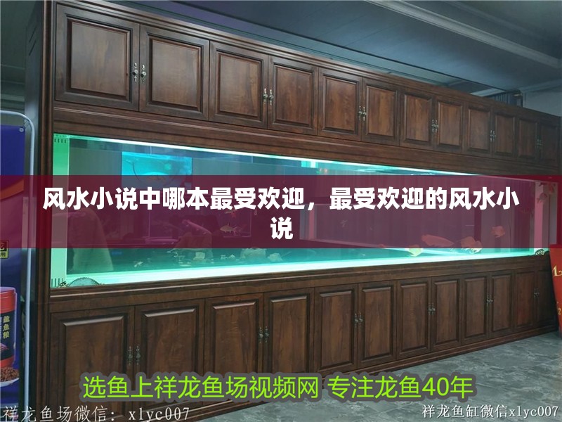 風水小說中哪本最受歡迎，最受歡迎的風水小說