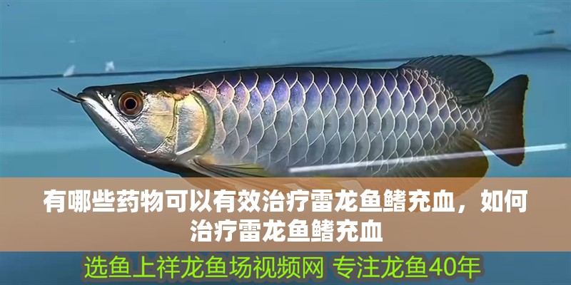 有哪些藥物可以有效治療雷龍魚鰭充血，如何治療雷龍魚鰭充血