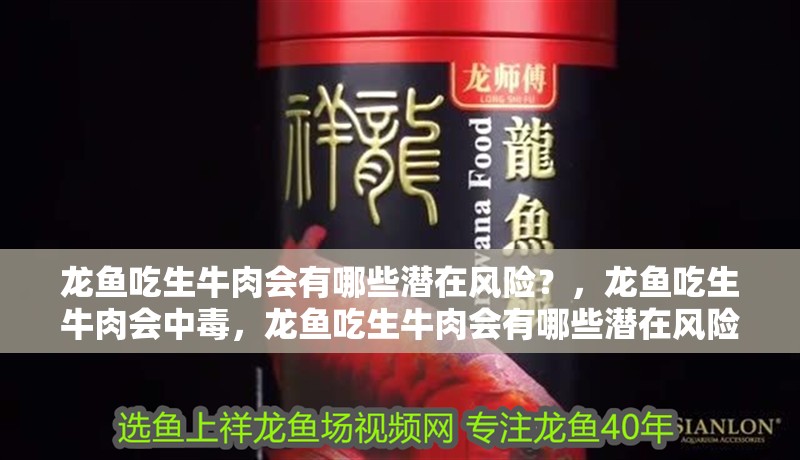 龍魚吃生牛肉會有哪些潛在風險？，龍魚吃生牛肉會中毒，龍魚吃生牛肉會有哪些潛在風險