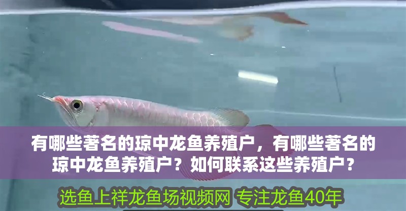 有哪些著名的瓊中龍魚養(yǎng)殖戶，有哪些著名的瓊中龍魚養(yǎng)殖戶？如何聯(lián)系這些養(yǎng)殖戶？