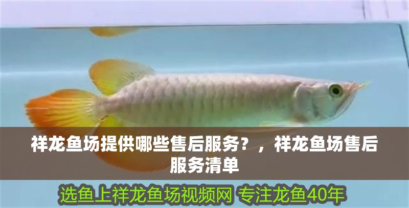 祥龍魚場提供哪些售后服務？，祥龍魚場售后服務清單