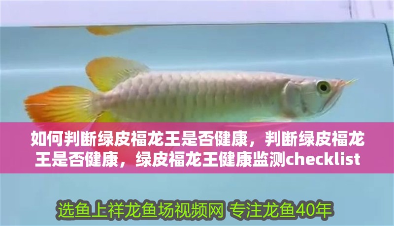 如何判斷綠皮福龍王是否健康，判斷綠皮福龍王是否健康，綠皮福龍王健康監測checklist