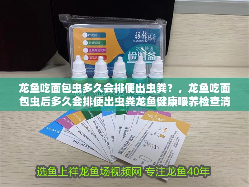 龍魚吃面包蟲多久會排便出蟲糞？，龍魚吃面包蟲后多久會排便出蟲糞龍魚健康喂養檢查清單