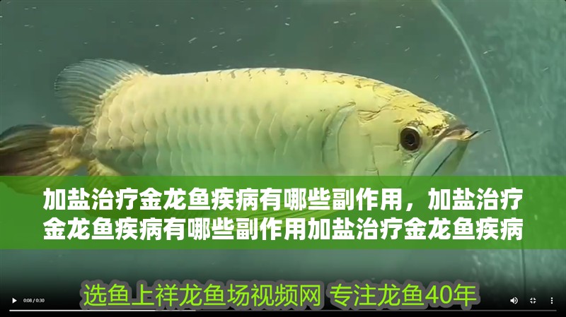 加鹽治療金龍魚疾病有哪些副作用，加鹽治療金龍魚疾病有哪些副作用加鹽治療金龍魚疾病有哪些副作用