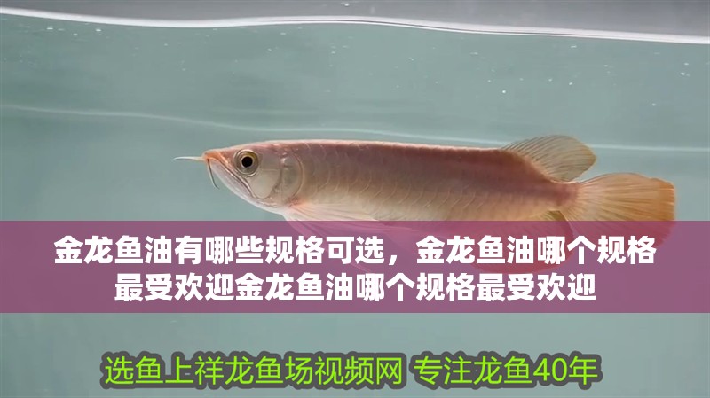 金龍魚油有哪些規(guī)格可選，金龍魚油哪個(gè)規(guī)格最受歡迎金龍魚油哪個(gè)規(guī)格最受歡迎