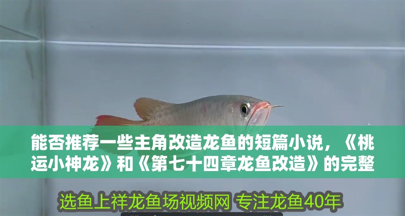 能否推薦一些主角改造龍魚的短篇小說，《桃運小神龍》和《第七十四章龍魚改造》的完整故事是什么？