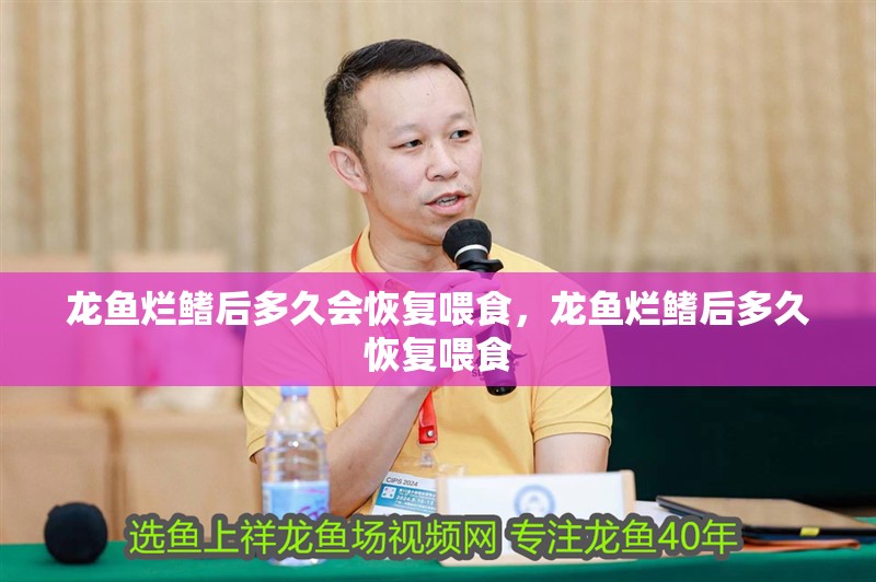 龍魚爛鰭后多久會(huì)恢復(fù)喂食，龍魚爛鰭后多久恢復(fù)喂食