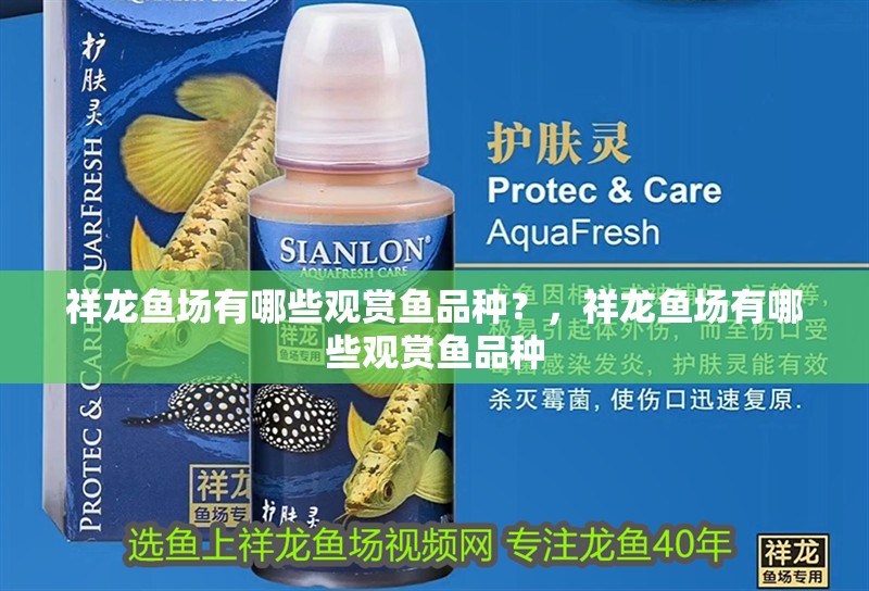 祥龍魚場有哪些觀賞魚品種？，祥龍魚場有哪些觀賞魚品種
