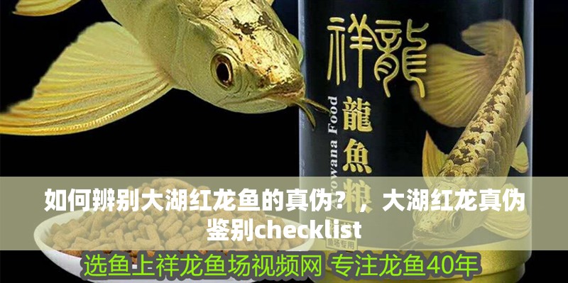 如何辨別大湖紅龍魚的真偽？，大湖紅龍真偽鑒別checklist