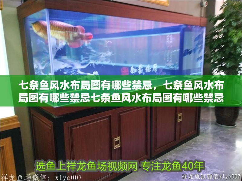 七條魚風(fēng)水布局圖有哪些禁忌，七條魚風(fēng)水布局圖有哪些禁忌七條魚風(fēng)水布局圖有哪些禁忌