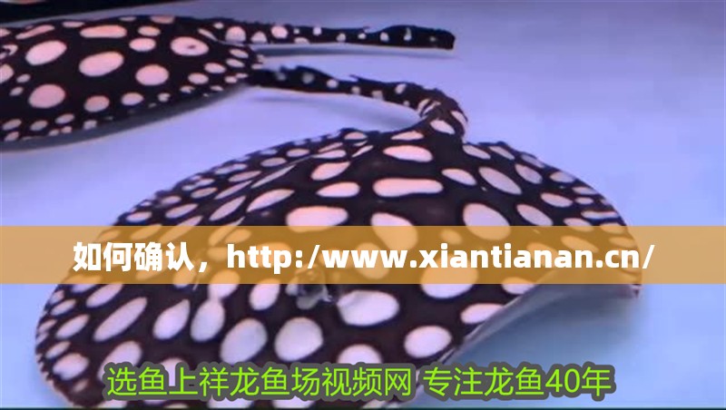 如何確認(rèn)，http:/www.lwhy5.com/