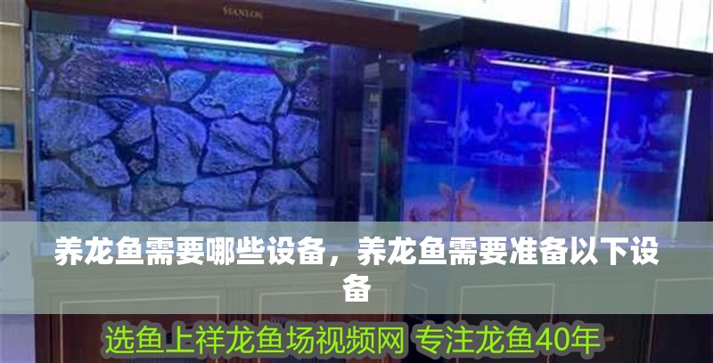 養龍魚需要哪些設備，養龍魚需要準備以下設備
