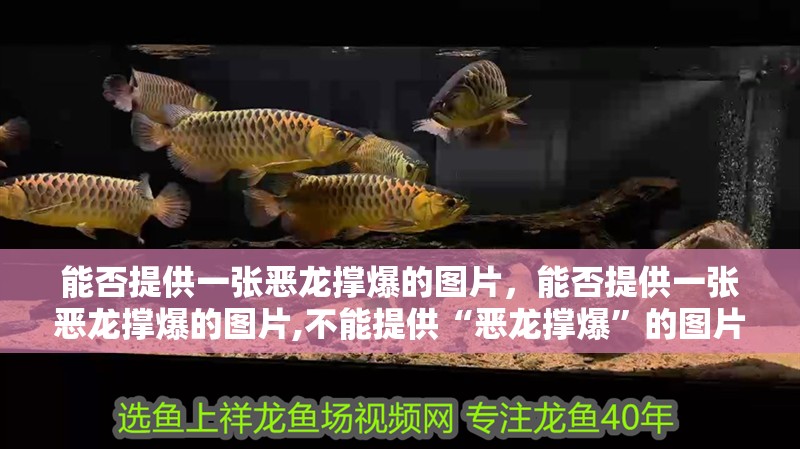 能否提供一張惡龍撐爆的圖片，能否提供一張惡龍撐爆的圖片,不能提供“惡龍撐爆”的圖片