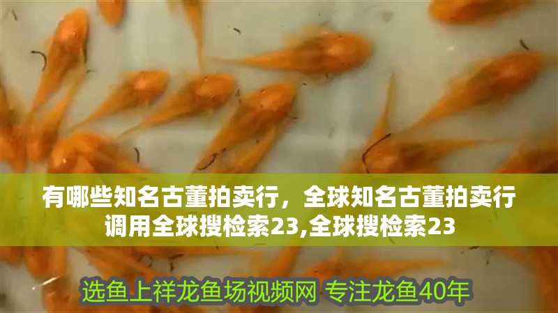 有哪些知名古董拍賣行，全球知名古董拍賣行調用全球搜檢索23,全球搜檢索23