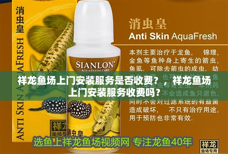祥龍魚場上門安裝服務是否收費？，祥龍魚場上門安裝服務收費嗎？