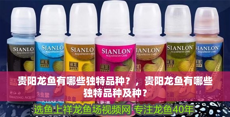 貴陽龍魚有哪些獨(dú)特品種？，貴陽龍魚有哪些獨(dú)特品種及種？