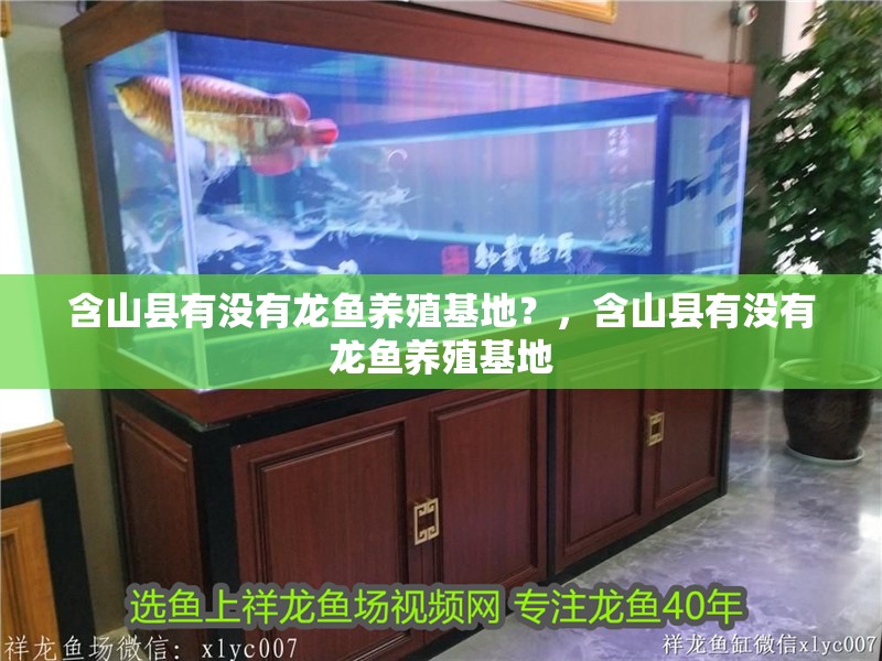含山縣有沒有龍魚養(yǎng)殖基地？，含山縣有沒有龍魚養(yǎng)殖基地