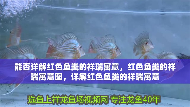 能否詳解紅色魚類的祥瑞寓意，紅色魚類的祥瑞寓意圖，詳解紅色魚類的祥瑞寓意