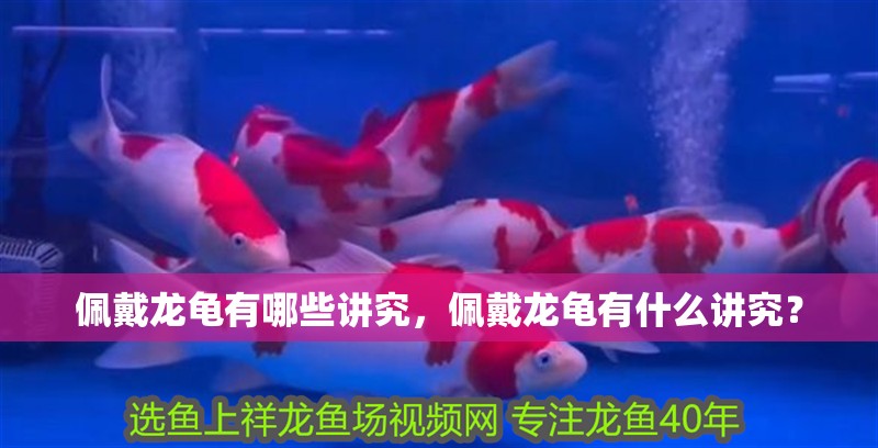佩戴龍龜有哪些講究，佩戴龍龜有什么講究？