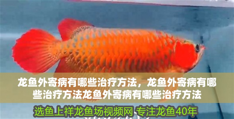 龍魚外寄病有哪些治療方法，龍魚外寄病有哪些治療方法龍魚外寄病有哪些治療方法
