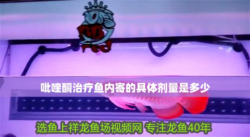 吡喹酮治療魚內寄的具體劑量是多少