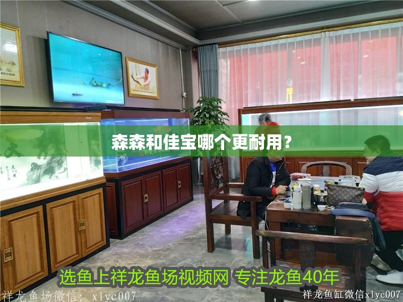 森森和佳寶哪個更耐用？
