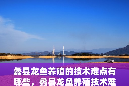 蠡縣龍魚養殖的技術難點有哪些，蠡縣龍魚養殖技術難點