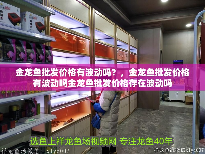 金龍魚批發價格有波動嗎？，金龍魚批發價格有波動嗎金龍魚批發價格存在波動嗎