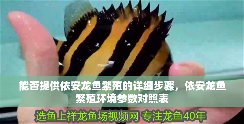 能否提供依安龍魚繁殖的詳細步驟，依安龍魚繁殖環境參數對照表
