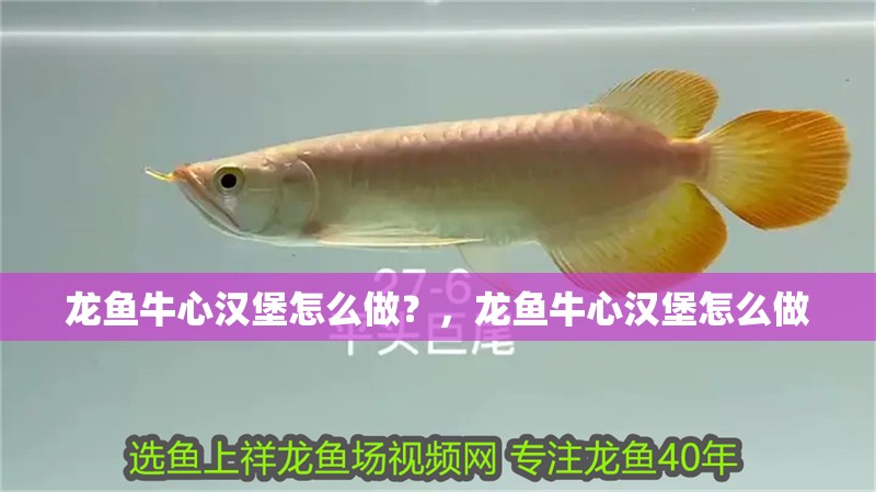 龍魚牛心漢堡怎么做？，龍魚牛心漢堡怎么做